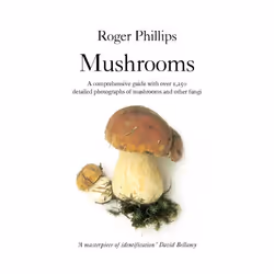 ISBN Mushrooms, Anglais, Livre broché, 384 pages