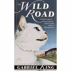 ISBN The Wild Road, Anglais, Livre broché, 480 pages