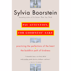 ISBN Pay Attention, for Goodness’ Sake, Livre broché, 306 pages