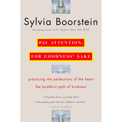 ISBN Pay Attention, for Goodness’ Sake livre