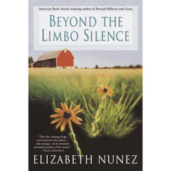 ISBN Beyond The Limbo Silence