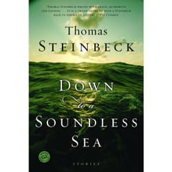 ISBN Down to a Soundless Sea