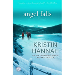 ISBN Angel Falls livre