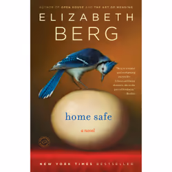 ISBN Home Safe, Anglais, Livre broché, 288 pages