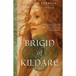 ISBN Brigid of Kildare, Mystère et suspense, Anglais, Livre broché, 256 pages