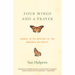 ISBN Four Wings and a Prayer, Livre broché, 224 pages