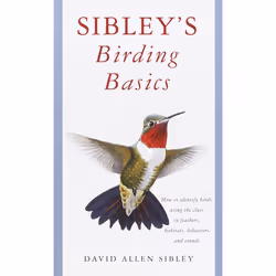 ISBN Sibley’s Birding Basics, Livre broché, 168 pages