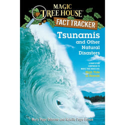 ISBN Tsunamis and Other Natural Disasters