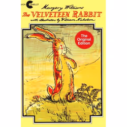 ISBN The Velveteen Rabbit, Livre broché, 40 pages