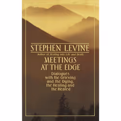 ISBN MEETINGS AT THE EDGE, Livre broché, 264 pages