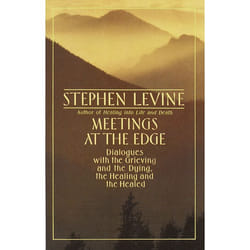 ISBN MEETINGS AT THE EDGE livre