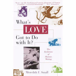ISBN What’s Love Got To Do With It, Livre broché, 282 pages
