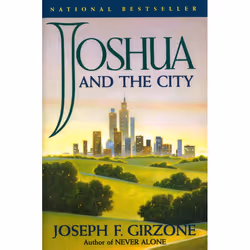 ISBN Joshua and the City, Livre broché, 256 pages