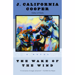 ISBN The Wake of the Wind, Anglais, Livre broché, 384 pages