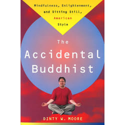 ISBN Accidental Buddhist livre biographie Anglais