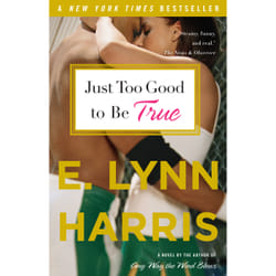 ISBN Just Too Good to Be True livre Anglais Livre broché 336 pages