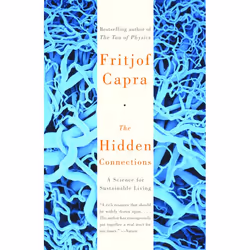 ISBN The Hidden Connections, Livre broché, 320 pages