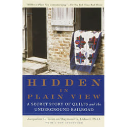 ISBN Hidden in Plain View livre