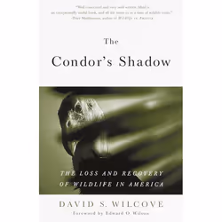 ISBN The Condor’s Shadow, Livre broché, 366 pages