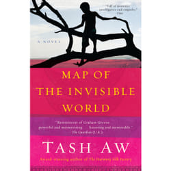ISBN Map of the Invisible World