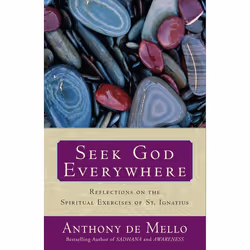 ISBN Seek God Everywhere, Livre broché, 224 pages