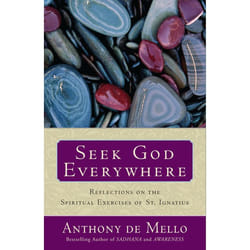 ISBN Seek God Everywhere livre