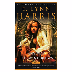ISBN Any Way the Wind Blows, Livre broché, 368 pages