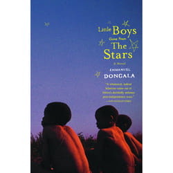 ISBN Little Boys Come from the Stars