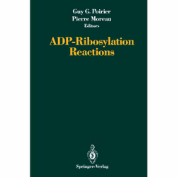 ISBN 9780387978222, Anglais, Couverture rigide, 410 pages