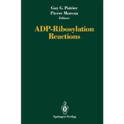ISBN 9780387978222 livre Anglais Couverture rigide 410 pages
