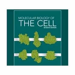 ISBN Molecular Biology of the Cell 7e with Digital Problems Book in Smartwork Code, Science & nature, Anglais, Livre broc ...