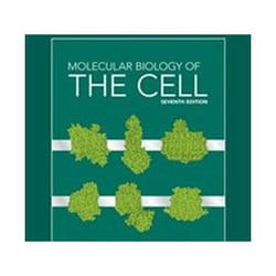 MOLECULAR BIOLOGY OF THE CELL. 7TH EDITION. EDITION EN ANGLAIS, Alberts Bruce