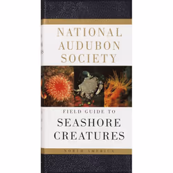 ISBN National Audubon Society Field Guide to Seashore Creatures, Couverture rigide, 816 pages