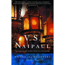 ISBN AMONG THE BELIEVERS livre