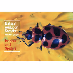ISBN National Audubon Society Pocket Guide: Insects and Spiders, Livre broché, 192 pages