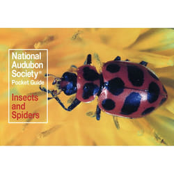 ISBN National Audubon Society Pocket Guide: Insects and Spiders livre