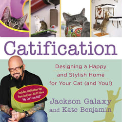 ISBN Catification livre