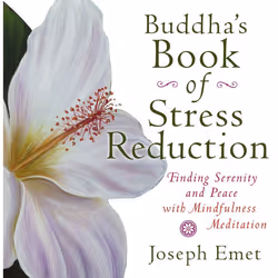 ISBN Buddha’s Book of Stress Reduction, Livre broché, 224 pages