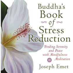 ISBN Buddha’s Book of Stress Reduction livre