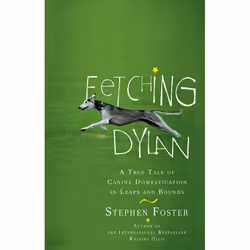 ISBN Fetching Dylan, biographie, Anglais, Livre broché, 288 pages