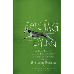 ISBN Fetching Dylan livre biographie Anglais