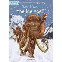 ISBN What Was the Ice Age?, Anglais, Livre broché, 112 pages