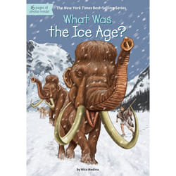 ISBN What Was the Ice Age?
