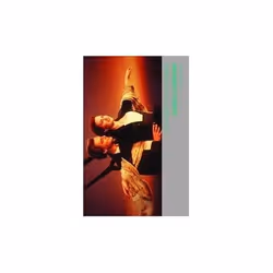 ISBN 9780415288521, Anglais, Livre broché, 208 pages