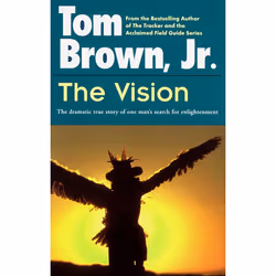 ISBN The Vision, biographie, Anglais, Livre broché, 256 pages