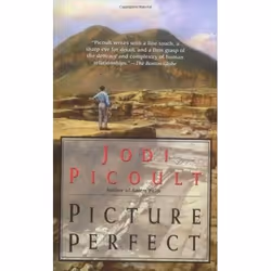 ISBN Picture Perfect, Anglais, Livre broché, 369 pages
