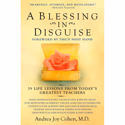 ISBN A Blessing in Disguise, Livre broché, 336 pages