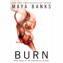ISBN Burn, Fiction, Anglais, Livre broché, 368 pages