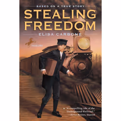 ISBN Stealing Freedom, Anglais, Livre broché, 272 pages