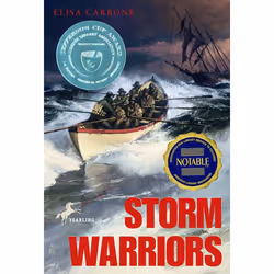 ISBN Storm Warriors, Anglais, Livre broché, 176 pages